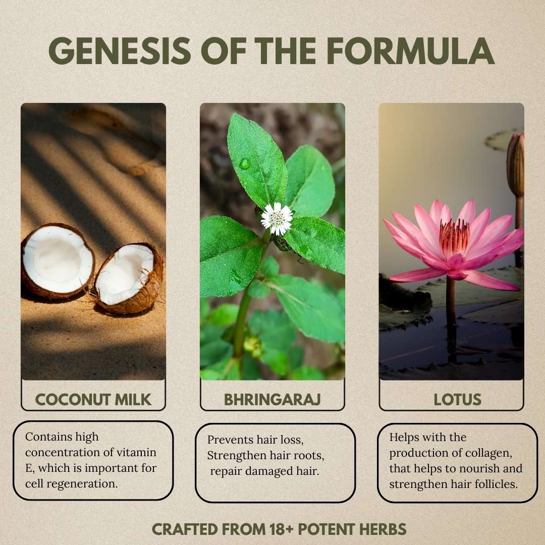 2022/03/1000599203.jpg 1000599203 Mystical Genesis Ayurveda