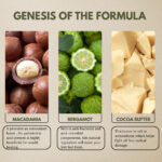 Olive Oil Foot Butter (with Bergamot and Macademia Nut Oil) - Image 2