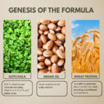 Shikakai and Brahmi Hair Growth Conditioner - Image 2