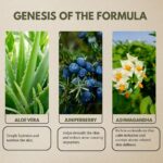 Foaming Face Wash: Juniper Berry (detoxifying and skin reviving) - Image 2