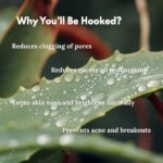 Foaming Face Wash: Juniper Berry (detoxifying and skin reviving) - Image 3